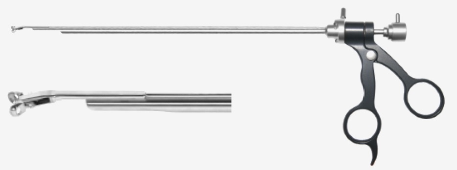 Optical Biopsy Spoon